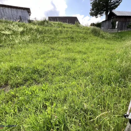 Schönes Grundstück in erhöhter, sonniger Lage mit Panoramabergblick - Bild 3