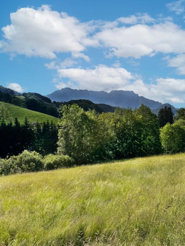 Hallein: Baugrundstück mit Panoramablick in Bad Dürrnberg zu verkaufen - Bild 1