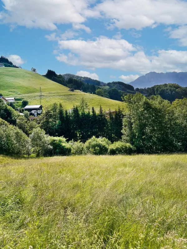 Ihre Gelegenheit: Baugrundstück mit Panoramablick in Hallein-Bad Dürrnberg zu verkaufen - Bild 1