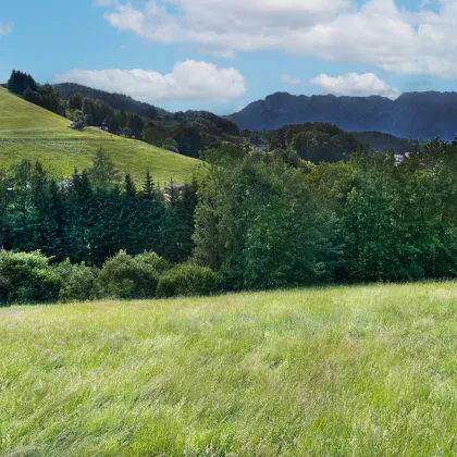 Ihre Gelegenheit: Baugrundstück mit Panoramablick in Hallein-Bad Dürrnberg zu verkaufen - Bild 2