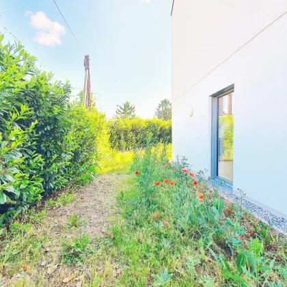 ++NEU++ TOP für Eigennutzer oder Anlage! ++Hochwertiges klimatisiertes Reihenhaus mit 96 m2 Privatgarten, Terrasse und 1 KFZ-Stellplatz!  Perfekte U-Bahn-Anbindung! - Bild 3