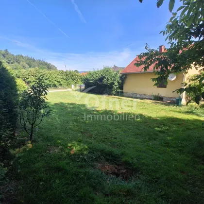 Ihr neuer Firmenstandort in Rosental: Grundstück in verkehrsgünstiger Lage - Bild 3