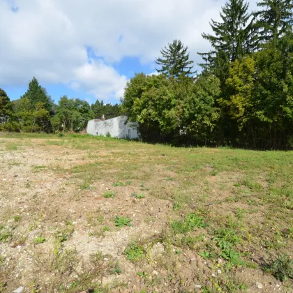 CHRISTOPH CHROMECEK IMMOBILIEN - HINTERBRÜHL - Villenbaugrund im XL-Format - Bild 3