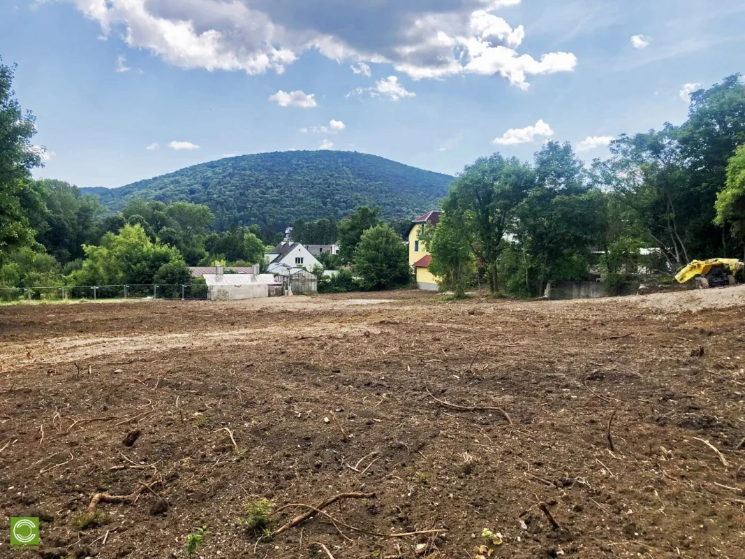 CHRISTOPH CHROMECEK IMMOBILIEN - HINTERBRÜHL - Villenbaugrund im XL-Format - Bild 1