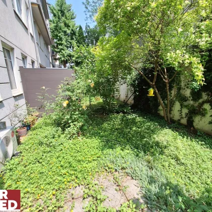 Schattige  Souterrainwohnung mit kleinen Eigengarten - Bild 2