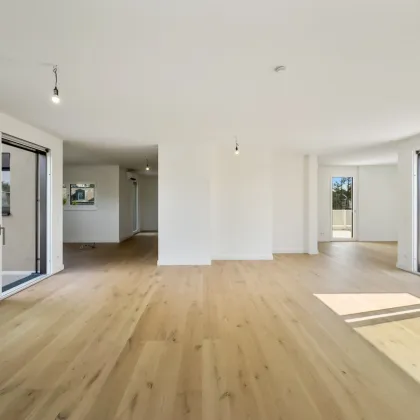 Above It All – Ihr Hideaway Penthouse über den Weinbergen Wiens mit Pool - 166m2 Wohnfläche & 143m2 Aussenflächen - Bild 3