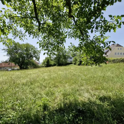 RARITÄT - Einzigartiges Baugrundstück in Leonding – 896 m² für Ihr Eigenheim...! - Bild 3
