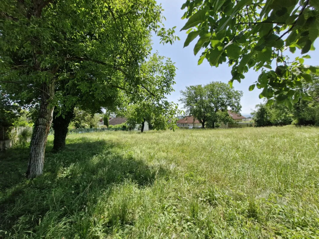 RARITÄT - Einzigartiges Baugrundstück in Leonding – 896 m² für Ihr Eigenheim...! - Bild 1