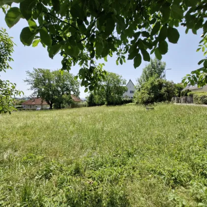 RARITÄT - Einzigartiges Baugrundstück in Leonding – 896 m² für Ihr Eigenheim...! - Bild 2