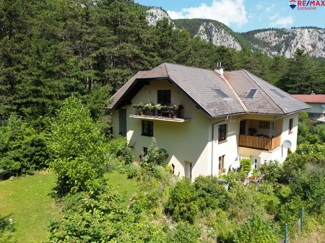 Hohe Wand - Einfamilienhaus mit 3 Wohneinheiten auf 1.100 m² Grund! - Bild 1