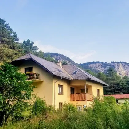 Hohe Wand - Einfamilienhaus mit 3 Wohneinheiten auf 1.100 m² Grund! - Bild 3