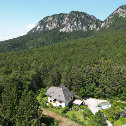 Hohe Wand - Einfamilienhaus mit 3 Wohneinheiten auf 1.100 m² Grund! - Bild 2
