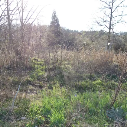 Preisreduktion: BAUTRÄGERLIEGENSCHAFT mit Einreichplan für 8 Einzelhäuser - Bild 2