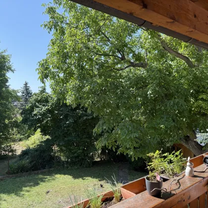 Wohnen im Grünen – Einfamilienhaus mit 778 m² Grund in Bad Fischau-Brunn zu kaufen! - Bild 3