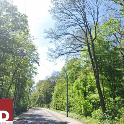 LAGE ZÄHLT- Charmante 5-Zimmer-Wohnung im Grünen -- SANIERUNGSBEDARF - Bild 2