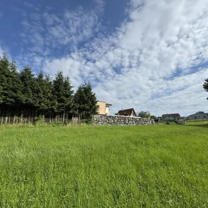 St. Oswald b. Plankenwarth! Herrliches Grundstück in ruhiger Sonnenlage! - Bild 2