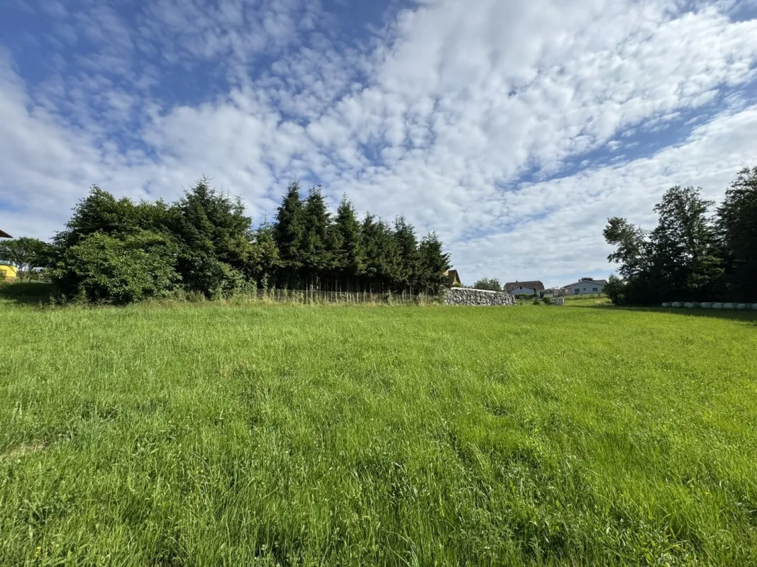 St. Oswald b. Plankenwarth! Herrliches Grundstück in ruhiger Sonnenlage! - Bild 1