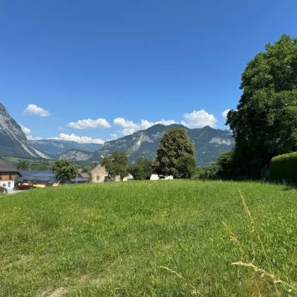 Grundstück in sonniger Lage mit beeindruckendem Blick auf den Grimming! - Bild 3