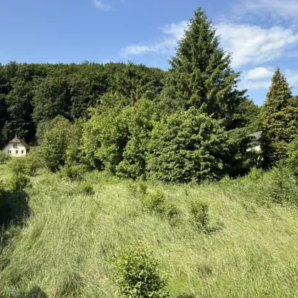 VERKAUFT - Grund genug! - Bild 2
