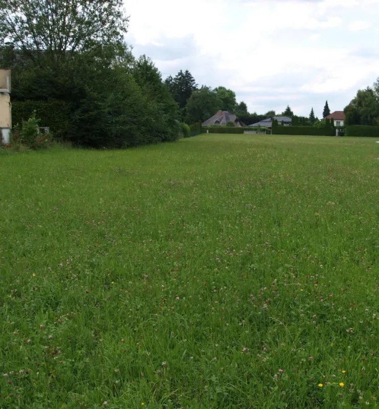 Secret Sale – Exklusive Baugrundstücke südlich von Salzburg - Bild 1