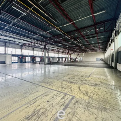 Großzügige Produktions- und Logistikhalle mit vielseitigen Nutzungsmöglichkeiten - Bild 3