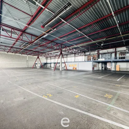 Ideale Logistikimobilie in Traun/Linz ab sofort zu mieten! - Bild 3