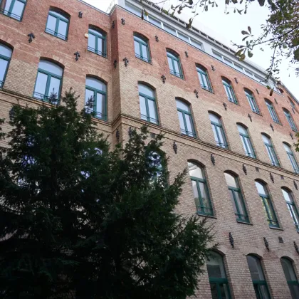 Geräumiges Büro mit Tiefgaragenplätzen im historischen Palais - Bild 2