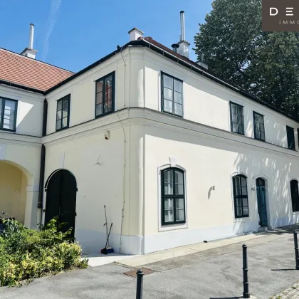 + + + Erdgeschossfläche unsaniert + + + SCHLOSS HETZENDORF + + + - Bild 3