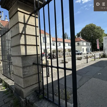 + + + Erdgeschossfläche unsaniert + + + SCHLOSS HETZENDORF + + + - Bild 2