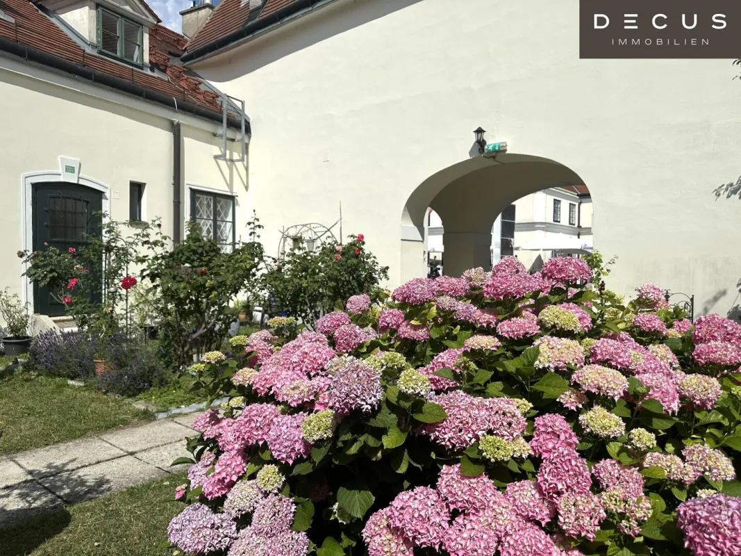 + + + 3-Raum-Büro + + + SCHLOSS HETZENDORF + +  + - Bild 1