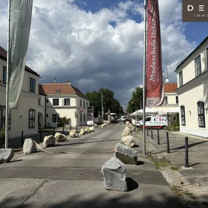 + + + verbindbare Erdgeschossflächen ca. 210 m² + + + SCHLOSS HETZENDORF + + + - Bild 3