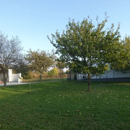 WOHNEN AM RANDE SCHÖNER NATUR - Bild 3