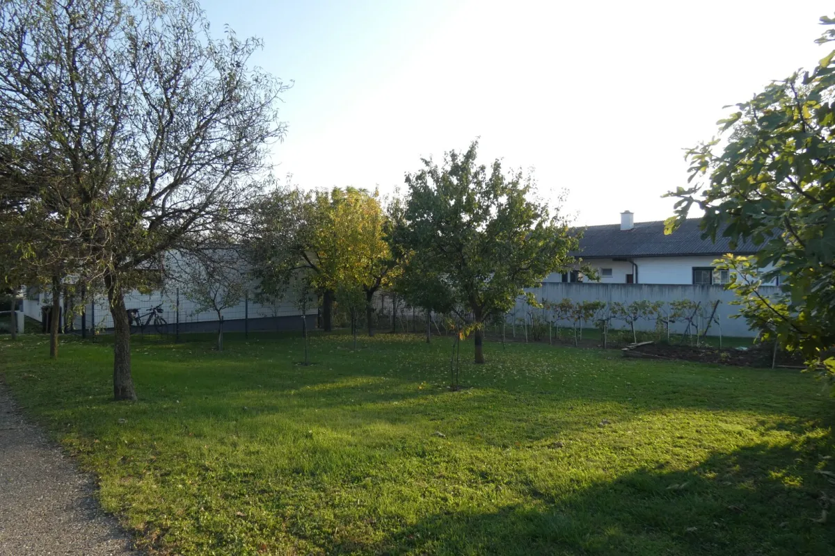 WOHNEN AM RANDE SCHÖNER NATUR - Bild 1