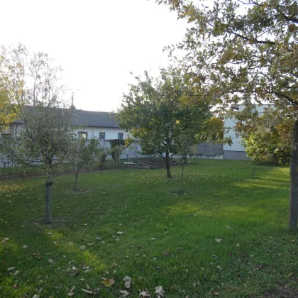 WOHNEN AM RANDE SCHÖNER NATUR - Bild 2