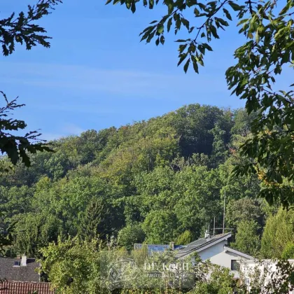 Sonniger Traumgrund mit herrlichem Weitblick! - Bild 3