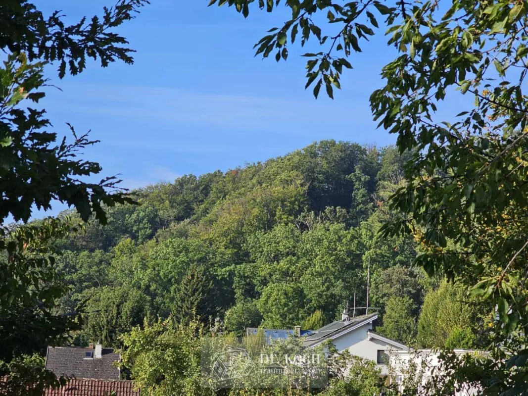 Sonniger Traumgrund mit herrlichem Weitblick! - Bild 1
