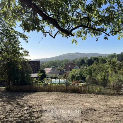 Sonniger Traumgrund mit herrlichem Weitblick! - Bild 3