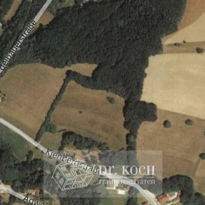 Schnäppchen Wunderschöne, südseitige Wiese, ! K E I N   BAUGRUND !! - Bild 3