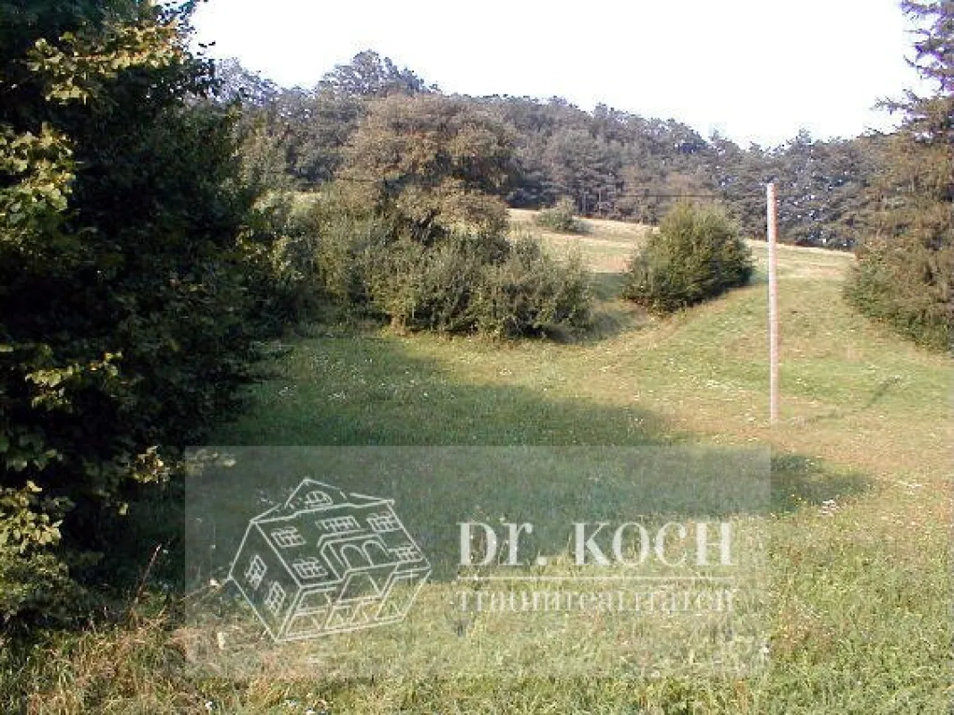 Schnäppchen Wunderschöne, südseitige Wiese, ! K E I N   BAUGRUND !! - Bild 1