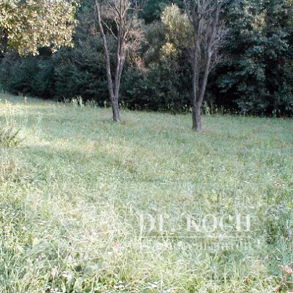 Schnäppchen Wunderschöne, südseitige Wiese, ! K E I N   BAUGRUND !! - Bild 2