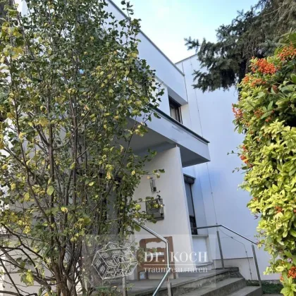 Leben wie im Urlaub in einer Grünoase! - Bild 2