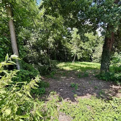 Platz für ein Einfamilien- oder Doppelhaus - Eigengrund am Ödberg in sonniger, grüner Umgebung - Bild 3