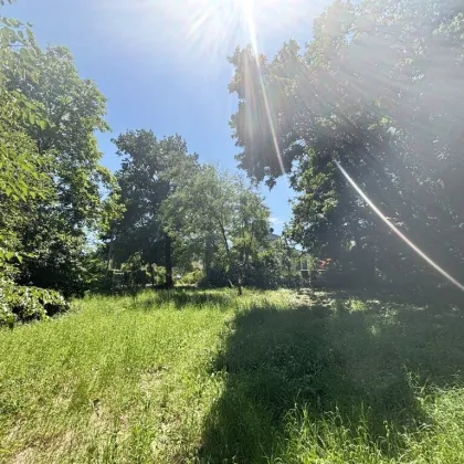 Platz für ein Einfamilien- oder Doppelhaus - Eigengrund am Ödberg in sonniger, grüner Umgebung - Bild 2