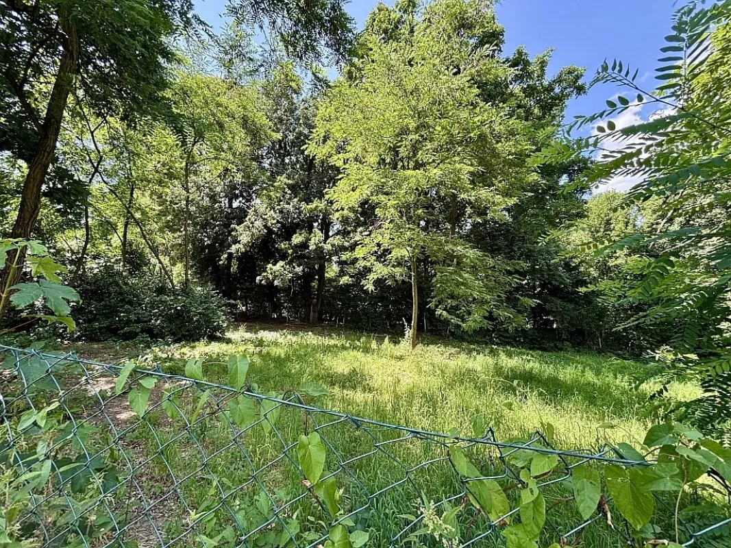 Platz für ein Einfamilien- oder Doppelhaus - Eigengrund am Ödberg in sonniger, grüner Umgebung - Bild 1