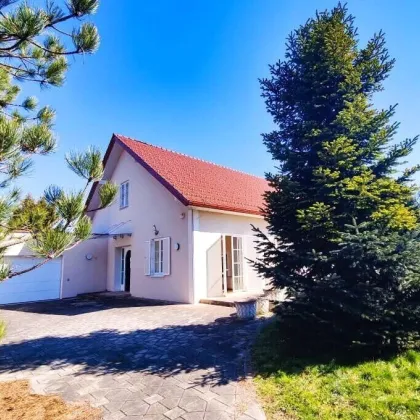 Sofort beziehbares 216m²Herrenhaus im gehobenen Landhausstil, 6.594m² Baugrund - Bild 2