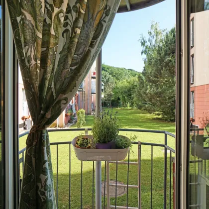 Barrierefreie 3-Zimmerwohnung mit wunderschönem Blick in den gepflegten Allgemeingarten in Purkersdorf - Bild 3