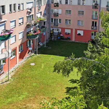 Barrierefreie 3-Zimmerwohnung mit wunderschönem Blick in den gepflegten Allgemeingarten in Purkersdorf - Bild 2