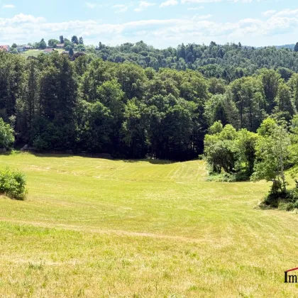 SELTENE GELEGENHEIT - Grundstück mit herrlicher Aussicht in sonniger Hanglage! - Bild 2