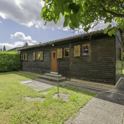 🏡 Ferienhaus am Neufelder See – Seesiedlung II / Straße 53 / 2491 Hornstein - Bild 2