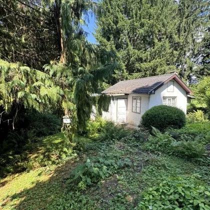 Potenzialreiches Bauträgergrundstück mit bis zu 6 Wohneinheiten im Wiener Speckgürtel - Bild 3